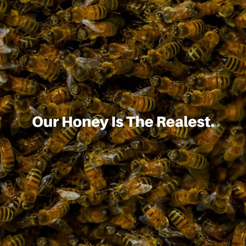 Vista 4 de HoneyPlusCo Miel 100% natural sin filtrar - Azahar (16 onzas)