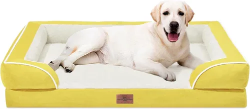 Vista 144 de Comfort Expression - Cama ortopédica para perros pequeños, 20 x 14 pulgadas, cama impermeable y de apoyo de espuma con cojines removibles, sofá