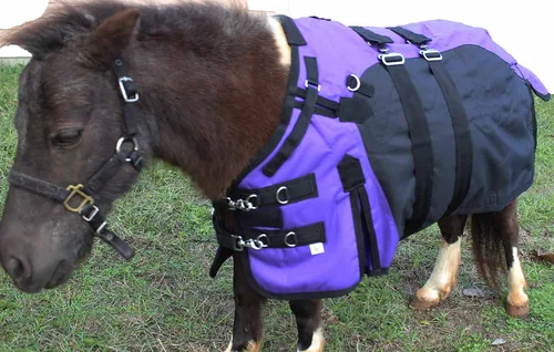 Vista 2 de CHALLENGER 56" 1200D Miniatura Weanling Donkey Pony Horse Foal Manta de invierno 51975PR