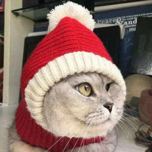 Vista 5 de POPETPOP Sombrero de Navidad para perro, acogedor gorro de invierno cálido de ganchillo para perro, sombrero grueso para cachorros, gorro pequeño