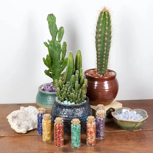 Vista 3 de Cherry Tree Collection Chips de piedras preciosas pulidas de 1/2 libra, guijarros, chips de cristal a granel para fabricación de joyas, curación