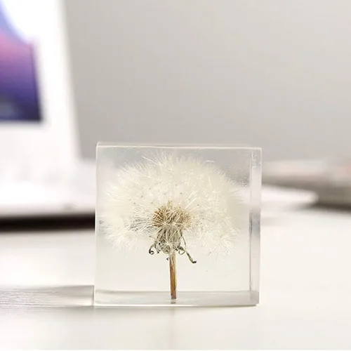 Vista 4 de FUNSXBUG Espécimen de diente de león real, pisapapeles, decoración de escritorio (2 x 2 x 2 pulgadas)
