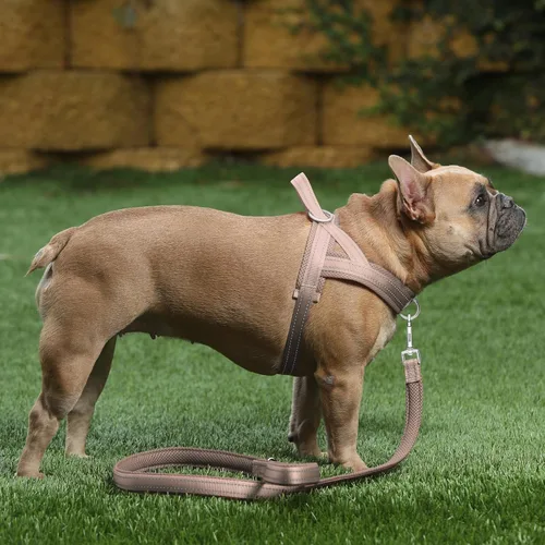 Vista 5 de Plutus Pet Arnés sin tirones para perro, con acolchado de malla transpirable, arnés reflectante ajustable a prueba de escapes, arnés de chaleco