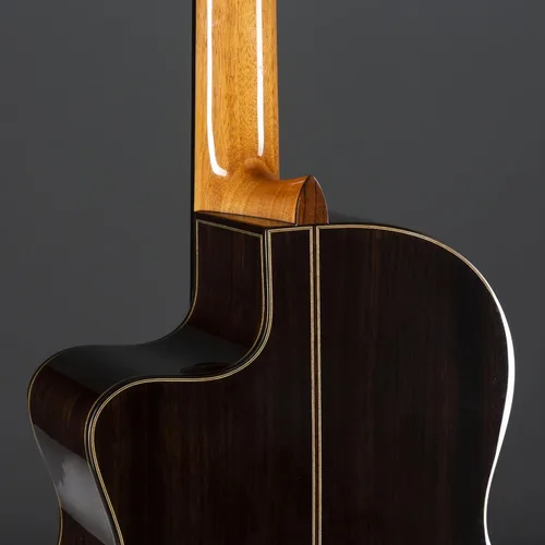 Vista 9 de Cordoba Fusion 12 Rose II Nylon Acoustic Eléctrico