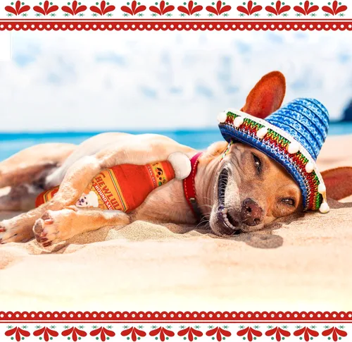 Vista 5 de Bark Bros - Juguete para perros con botella de salsa - Parodia divertida de felpa chirriante para cumpleaños - Lindos regalos para cachorros