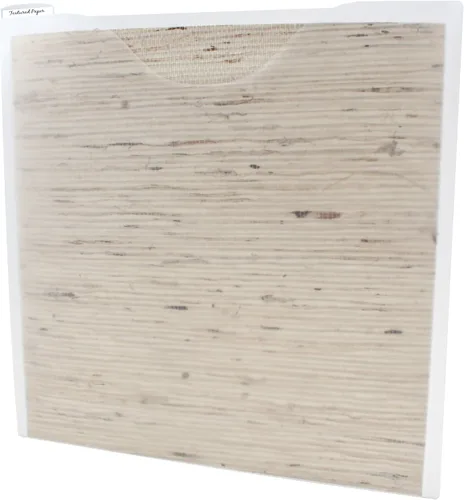 Vista 2 de Storage Studios - Archivos de papel, paquete de 3, 12.75 x 12.95 x 0.13 pulgadas, transparente (CH92602)