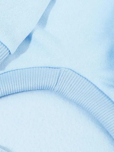 Vista 7 de QWINEE Sudadera básica con capucha para perro, suéter cálido para gatos, ropa para mascotas para Chihuahua, cachorro, gatito, perros pequeños