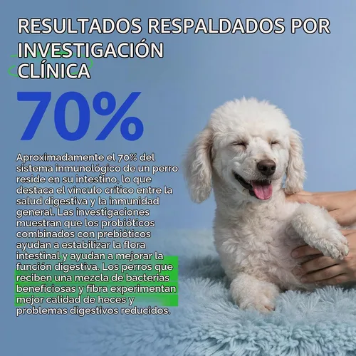 Vista 4 de Probióticos y prebióticos masticables para perros para la salud digestiva