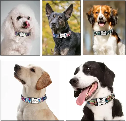 Vista 4 de Moonpet Collar de perro personalizado personalizado con etiqueta de identificación grabada, nombre de perro y número de teléfono/collares de perro