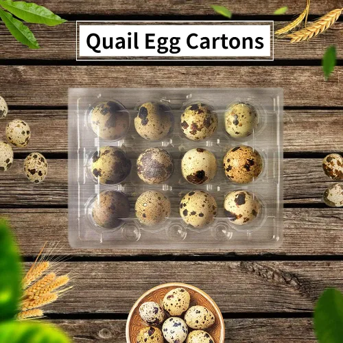 Vista 7 de 50 cajas de huevos de codorniz, 12 rejillas de almacenamiento de huevos pequeños, bandejas de cartón a granel para huevos pequeños, codorniz