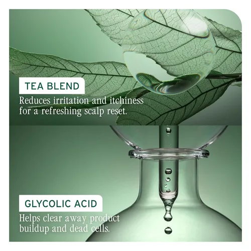 Vista 4 de Biolage Scalp Sync Anti-Dandruff Shampoo & Universal Conditioner Set - Targets Dandruff, Controls The Appearance of Flakes & Relieves Scalp