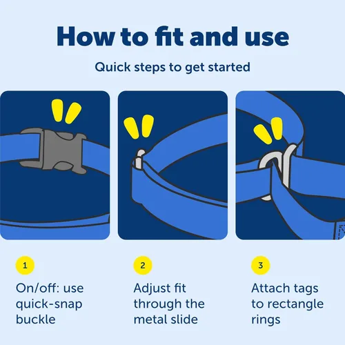 Vista 6 de Collar de la martingala de PetSafe Petite con hebilla rápida instantánea, Púrpura profundo