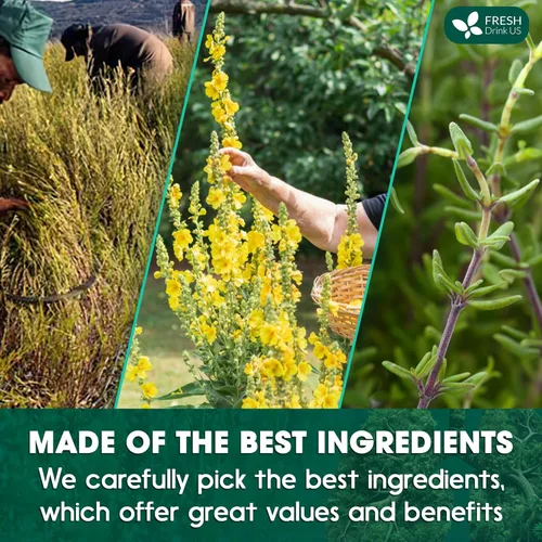 Vista 404 de FreshDrinkUS, 135 bolsas de té de jengibre y cúrcuma premium, ingredientes 100% naturales, mezcla hecha a mano de té de hierbas de cúrcuma