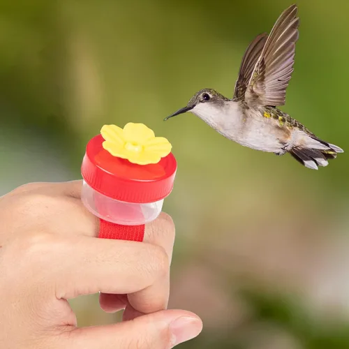 Vista 4 de Comederos de Anillo para Colibríes de Mano, 4 Piezas Mini Comedero de Mano para Colibríes con 4 Piezas Cepillo de Limpieza, Comederos de Pájaros