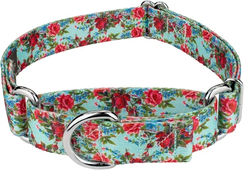 Vista 8 de Country Brook Petz - Collar de perro Martingale, collar de entrenamiento resistente, colección floral vibrante con diseños encantadores, campos