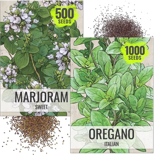 Vista 10 de Seed Needs, Colección de paquetes de semillas de hierbas italianas (5 variedades individuales de semillas para plantar) sin OMG y sin tratar
