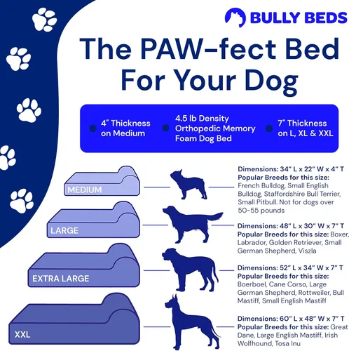 Vista 4 de Bully beds Cama ortopédica de espuma viscoelástica para perros mayores, ancianos y artríticos con problemas articulares y musculares, camas
