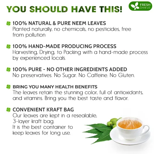 Vista 600 de FreshDrinkUS, 135 bolsas de té de jengibre y cúrcuma premium, ingredientes 100% naturales, mezcla hecha a mano de té de hierbas de cúrcuma