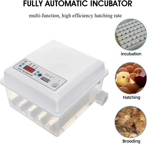 Vista 4 de Incubadora automática de huevos 16 huevos digital Control de temperatura completo aves de corral criador de pollo, pollo, pato, ganso, codorniz