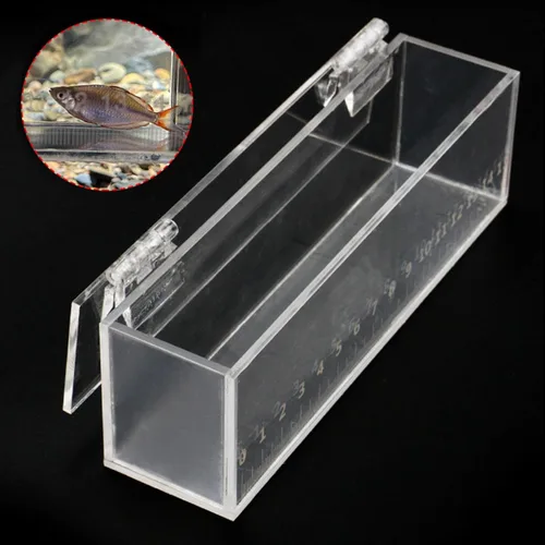 Vista 5 de Caja de visualización de peces de pesca de acrílico con tapa, mini acuario al aire libre e interior, pequeña, portátil, caja segura para criadores