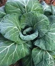 Variación 3