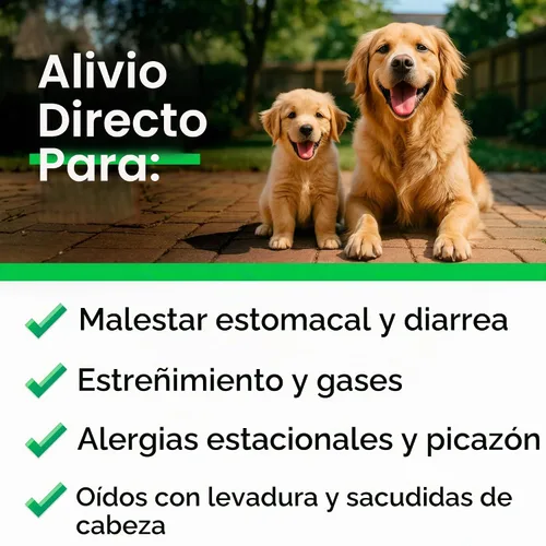 Vista 5 de BARK&SPARK Masticables ambientadores de aliento de dientes de perro Probióticos para ayudar al aliento