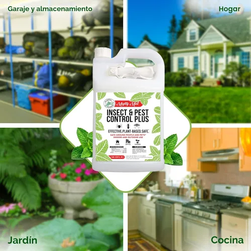 Vista 4 de Mighty Mint Aceite de menta repelente de insectos en aerosol – Control natural de insectos en interiores y exteriores para arañas, hormigas
