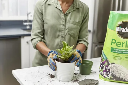 Vista 4 de Scotts Perlita, 8-qt.