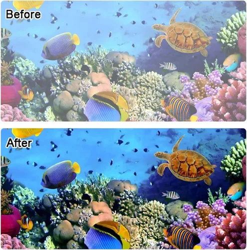 Vista 3 de Insertos antivaho bajo el agua para buceo impermeable, absorbentes de humedad reutilizables para buceo, esnórquel y deportes acuáticos, compatible