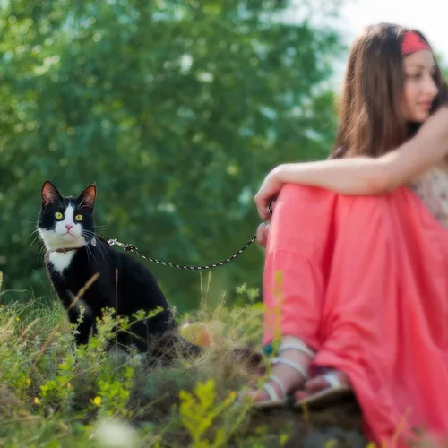 Vista 8 de Rypet Correa larga reflectante para gatos, 15 pies, a prueba de escapes, correa larga para caminar, duradera, segura, personalizada, extensora