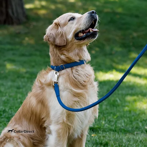 Vista 8 de CollarDirect Collar de Cuero Enrollado para Perros, Collar Redondo Acolchado Suave para Cachorros, Collar de Cuero Genuino Hecho a Mano para Perros
