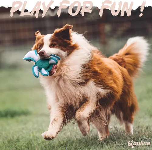 Vista 2 de Juguetes masticables para perros, juguetes para masticar dientes de cachorro, material de goma duradero, con forma de tortuga, juguetes para perros