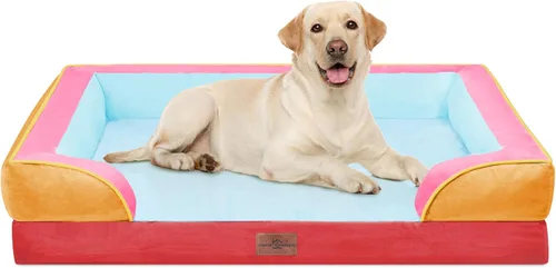 Vista 247 de Comfort Expression - Cama ortopédica para perros pequeños, 20 x 14 pulgadas, cama impermeable y de apoyo de espuma con cojines removibles, sofá