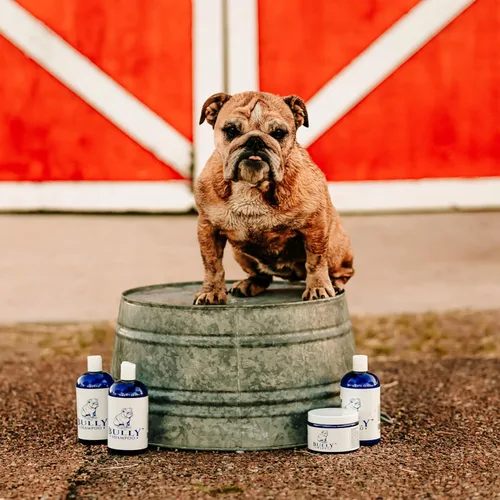 Vista 5 de Bully Shampoo - Champú Bulldog para perros, fórmula orgánica totalmente natural, aroma botánico refrescante. Específicamente para razas de bulldog