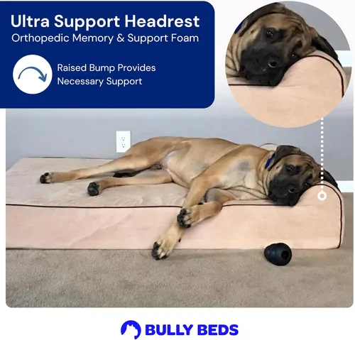 Vista 5 de Bully beds Cama ortopédica de espuma viscoelástica para perros mayores, ancianos y artríticos con problemas articulares y musculares, camas