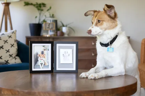 Vista 8 de Pearhead Marco de fotos con estampado de patas de mascota con kit de impresión de arcilla, marco de madera para huellas de mascotas, recuerdo
