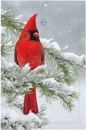 Vista 59 de Placa de pared de la torre Eiffel de París, 1 banda, interruptor de luz de una sola banda, cubierta de plástico con tornillos