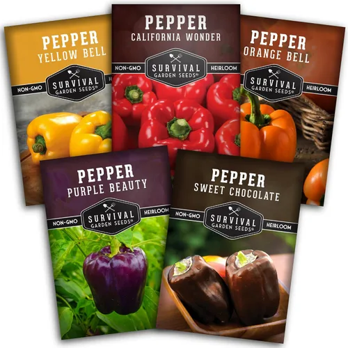 Colección de semillas de pimientos Bell – Paquete de 5 | Semillas amarillas, naranjas, California Wonder, Purple Beauty y chocolate dulce para
