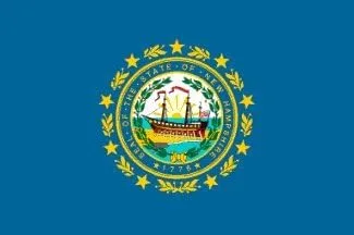 Annin Flagmakers 143480 - Bandera de Nyl-Glo New Hampshire de 5 pies x 8 pies