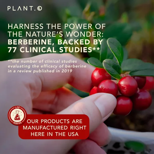 Vista 5 de PLANT.O NUTRITION Suplemento de berberina - Complejo HCI de berberina de absorción 10 veces mayor con limón amargo y hoja de banaba - Colesterol