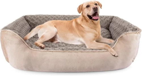 Vista 13 de JOEJOY - Cama rectangular para perros grandes, medianos y pequeños - Cama de sofá ortopédica lavable, suave y transpirable para cachorros