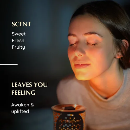 Vista 6 de Aromafume Ladrillos de incienso de sangre de dragones (3 bandejas x 9 piezas cada una) Ideal para generación de vibraciones positivas, limpieza