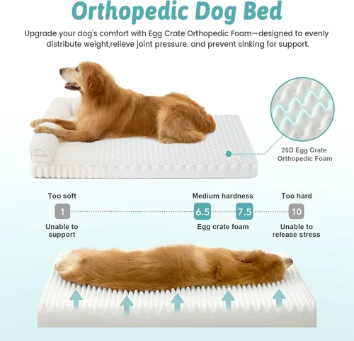 Vista 4 de COZY KISS Bonita cama para perro, cama ortopédica de espuma de conejo sintética con lados, funda extraíble lavable y forro impermeable, cómodo sofá