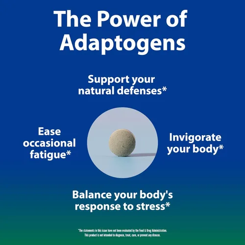 Vista 2 de Sun Chlorella Sun Ukogi Eleuthero Root 200 mg Suplemento de ginseng siberiano – Adaptógeno natural bienestar y resistencia suplemento para mujeres