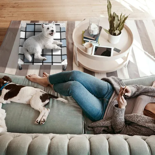 Vista 5 de Caghash Cama elevada para perros al aire libre, cama elevada para perros al aire libre, cama elevada para mascotas, cuna para el gusto