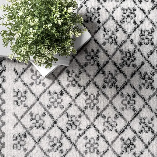 Vista 5 de nuLOOM Arabella Alfombra contemporánea con bordes, 4 x 6 pies, gris claro