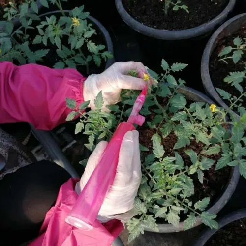 Cepillo de polinización manual para tomates, berenjenas, pimientos, herramienta polinizadora de verduras, accesorios de polinización de jardín para