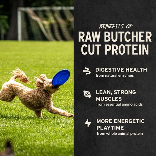Vista 4 de Vital Essentials Golosinas de pechuga de pollo de un solo ingrediente para perros, 2.1 oz Liofilizadas crudas Golosinas de entrenamiento de alta