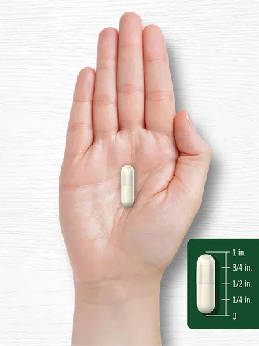 Vista 7 de Carlyle Royal Jelly Capsule 2500 mg 120 unidades Fórmula sin OMG y sin gluten Suplemento tradicional