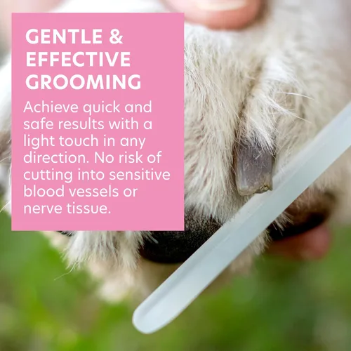 Vista 4 de Bona Fide Beauty Lima de uñas para mascotas hecha de vidrio checo, lima de uñas silenciosa e indolora para perros pequeños, gatos, pájaros y conejos